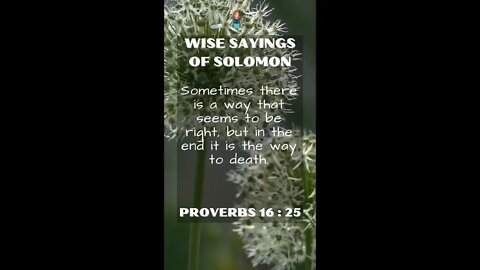 Proverbs 16:25 | NRSV Bible | Wise Sayings of Solomon