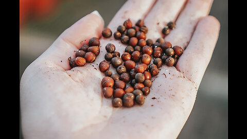 100Cells Seedling Start Trays,10 Pack Peat Pots Seedling Pots Biodegradable,Seedling Starter Ki...