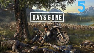 The Freaks Come Out At Night! - Days Gone