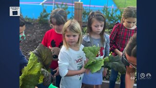 Students' gardening program benefiting homeless community