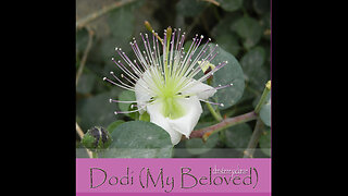 "Dodi (My Beloved)", Christene Jackman, from Song of Songs, Messianic music