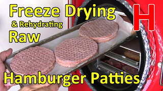 Freeze Drying Hamburger Patties - Raw