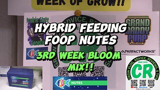 Hybrid feeding with FOOP 3rd Week Bloom nutrient mix! #cannabisreviewer #organicfertilizer