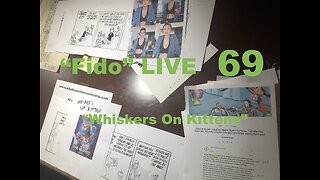 "Fido". LIVE 69: "Whiskers on Kittens."