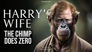 Meghan Markle : The Chimp Does Zero