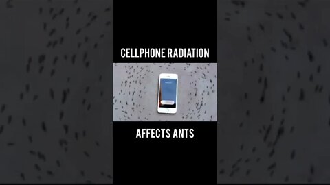 Cell Phone Radiation