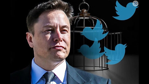 Elon Musk Hires Chairwoman Of World Economic Forum As CEO Of Twitter