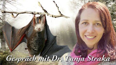 Murmelnde Fledermäuse - Dr. Tanja Straka
