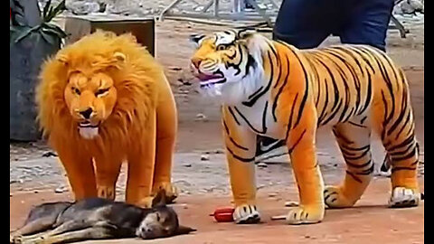 Fake lion and Fake Tiger Prank to Dogs |funny
