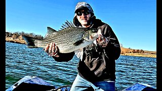 Blade Baits Catch a Ton of Fish in Winter Conditions!