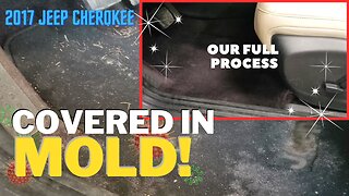 2017 Jeep Cherokee Limited FULL OF MOLD & WATER! | Projects with Derek