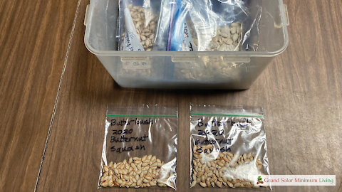 Seed Storage - How to safely take seeds in and out of storage