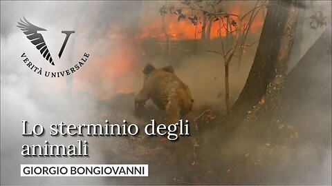 Lo sterminio degli animali - Giorgio Bongiovanni