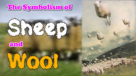 The Symbolism of Sheep and Wool