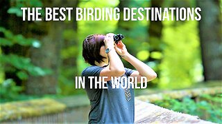 The Best Birding Destinations in the World (2023)