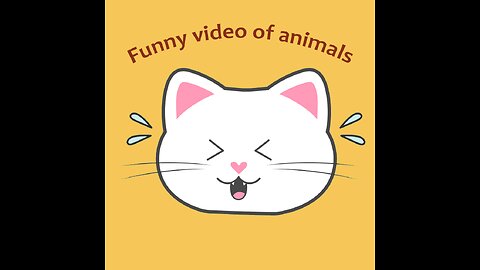 funny kittens