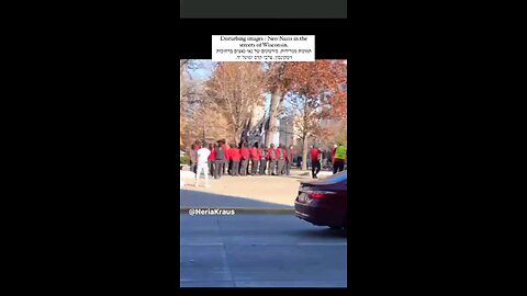 Neo-Nazis in the streets of Wisconsin - WELCOME TO AMERICA!