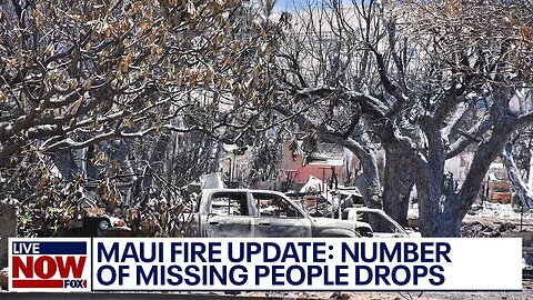 Maui fire update: Number of missing falls to 66, Hawaii Governor says | LiveNOW from FOX