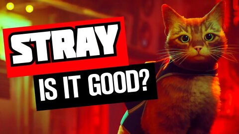 Stray Game Review! Is Stray a GOOD game?