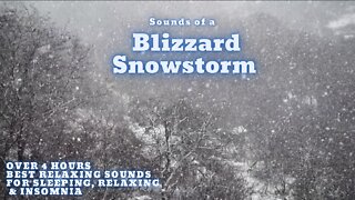 Blizzard Snowstorm Wind Sounds for Sleeping, Relaxing, & Insomnia - Howling Wind & Blowing Snow
