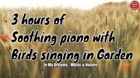 Soothing music with piano and birds singing for 3 hours, music that relief insomnia and tinnitus