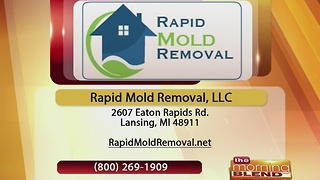 Rapid Mold Removal - 12/26/16