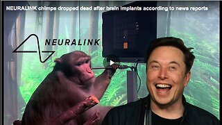 Monkeys dying after being implanted with Neuralink devices