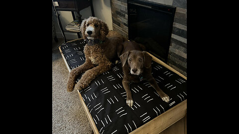 Review Molly Mutt Sheepy Wool Crate Mat - 100% Cotton Canvas Cover with Temperature-Regulating...