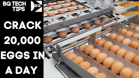 HOW TO CRACK 30.000 EGGS IN A DAY FOR YOUR PASTRY BUSINESS