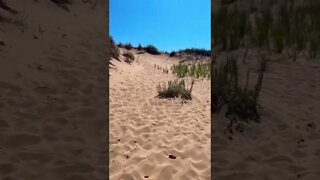 Large sand dunes at the beach