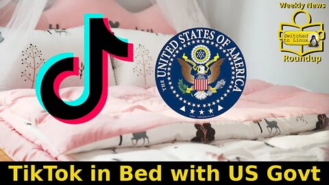 TikTok No Longer a Threat in Deal with US Govt