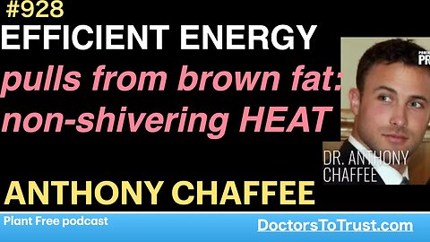 ANTHONY CHAFFEE h | EFFICIENT ENERGY pulls from brown fat: non-shivering HEAT