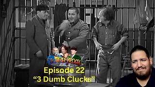 The Three Stooges | 3 Dumb Clucks 1937 | Episode 22 | Reaction