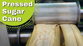 PRESSED SUGAR CANE DRINK