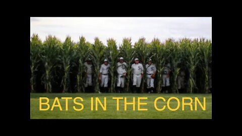 Field of Dreams (MPN S6, E18)