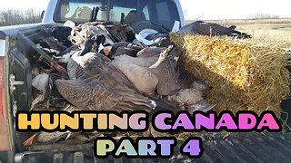 Goose/Duck Hunting Saskatchewan Canada Day 3. Part 4 of 4 Guided Waterfowl Hunt