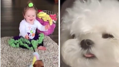 More Cute Animals and Babies for When You are Stressed