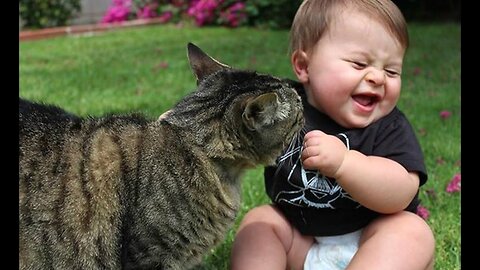 |i cant stop laughing ,Baby cats and dogs funny video /baby videos with cats and dogs |