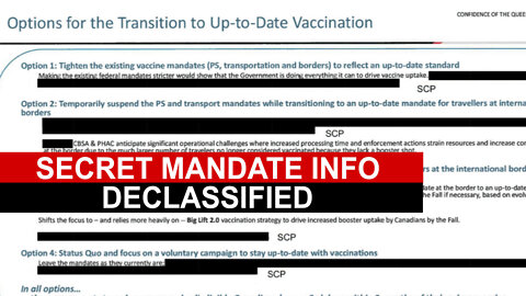 Secret Travel Mandate Strategy Declassified Up-to-Date Big Lift 2.0