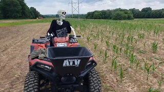 Corn and soybean food plot updates-July 4th weekend!