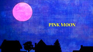 PINK MOON & ONE OF THESE THINGS FIRST by Nick drake