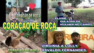 CORAÇÃO DE ROÇA DOMINGO COM OSVALDO FERNANDES E VIRGÍNIA A LULLY.