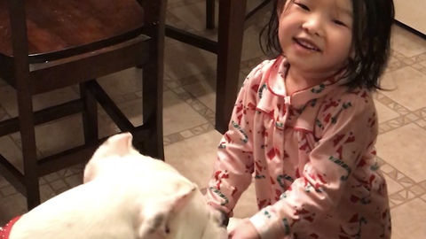Little girl demonstrates tricks to confused dog