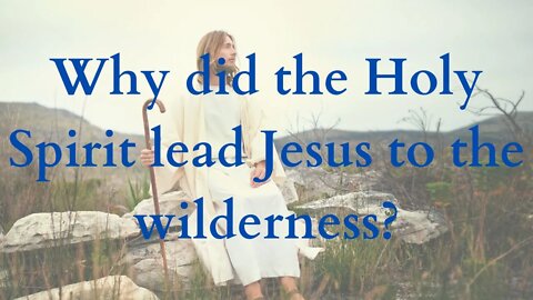 Why did the Holy Spirit lead Jesus to the wilderness?