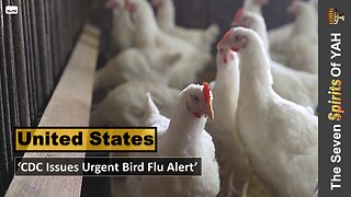 'CDC Issues Urgent Bird Flu Alert'