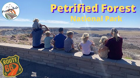 Petrified Forest