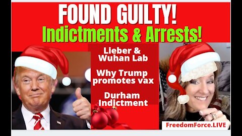 Found Guilty! Prof Lieber- Wuhan, Indictments 12-22-21