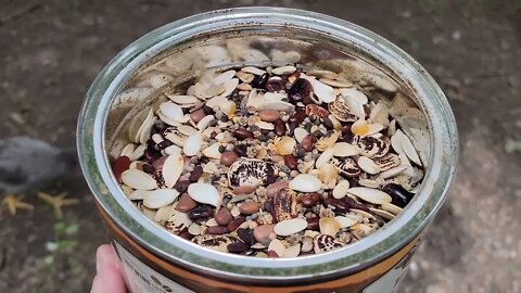 What to do with old seeds?