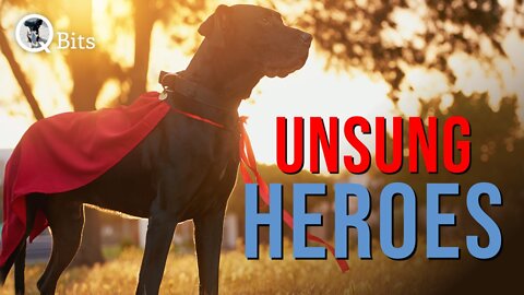 #602 // UNSUNG HEROES - LIVE