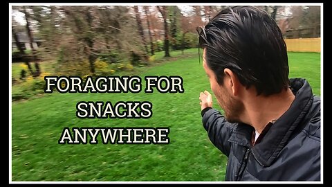 Backyard Fieldcraft: Foraging For Snacks Anywhere